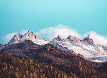 星空体育-沃克变小托马斯？绿军安吉不讲感情只讲生意